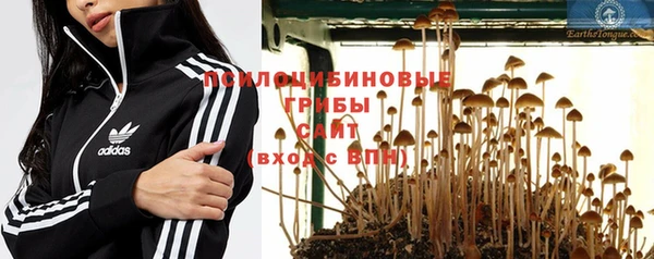 ПСИЛОЦИБИНОВЫЕ ГРИБЫ Сафоново