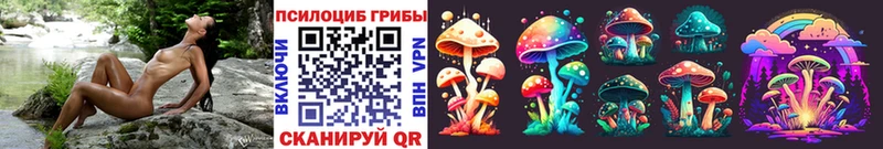 Галлюциногенные грибы Psilocybe  закладка  Цимлянск 